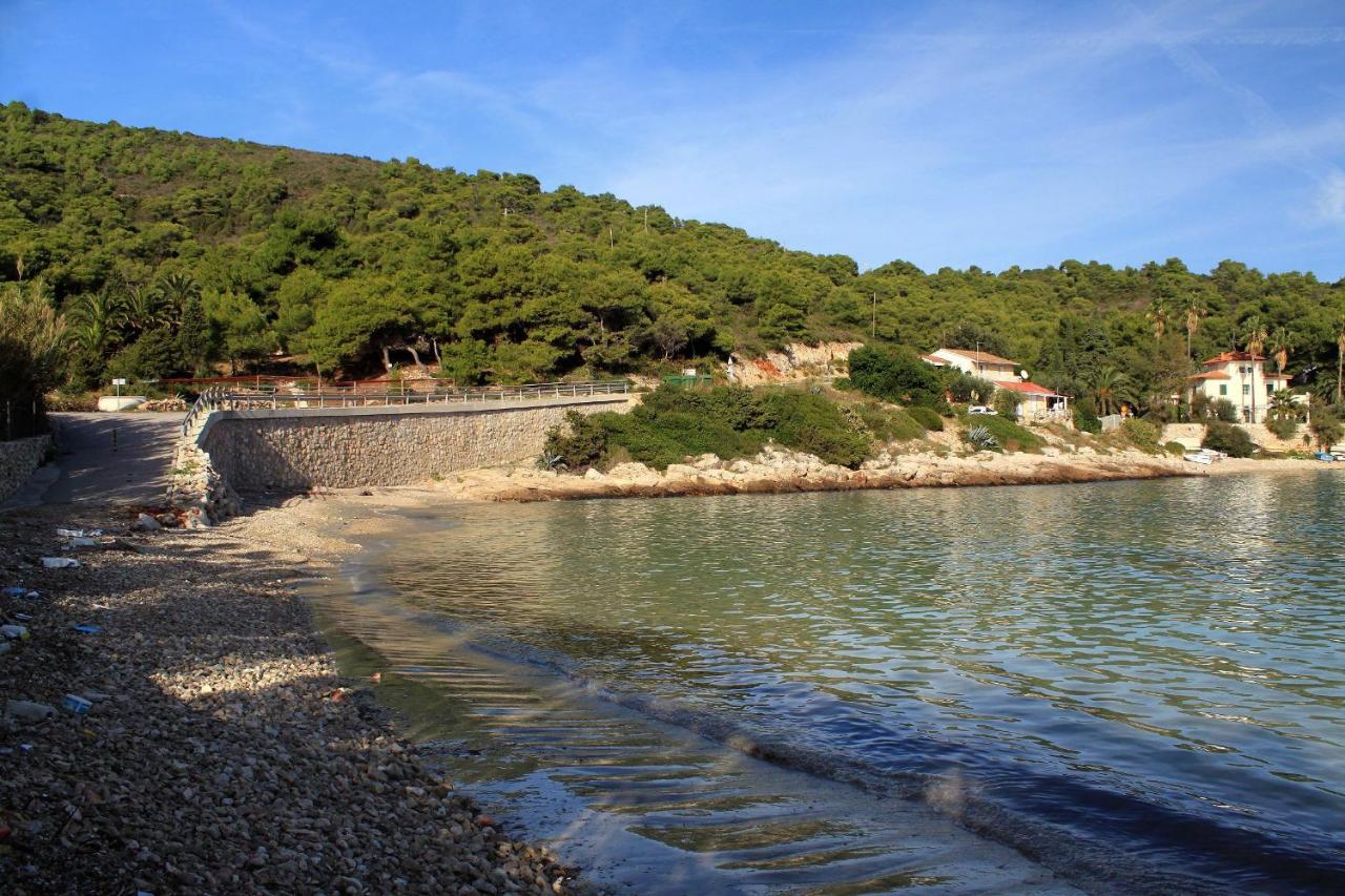 Apartments By The Sea Milna, Vis - 8896 Esterno foto